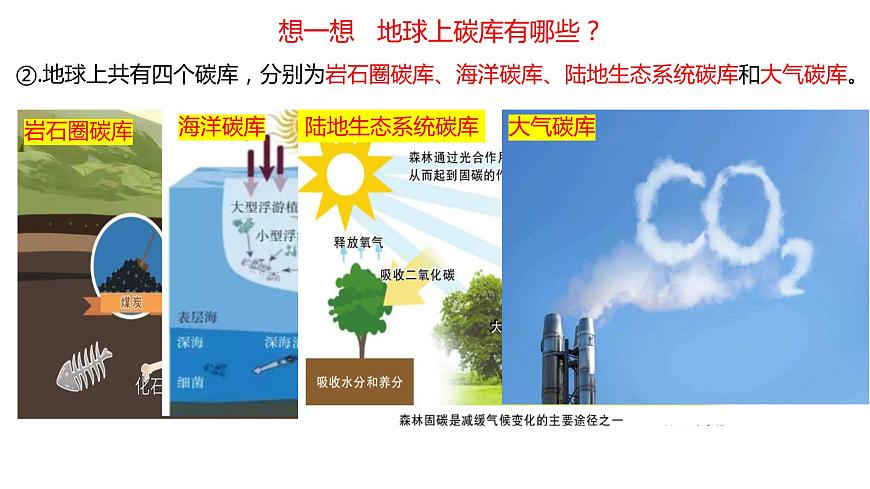 3.1 碳排放与碳减排 课件